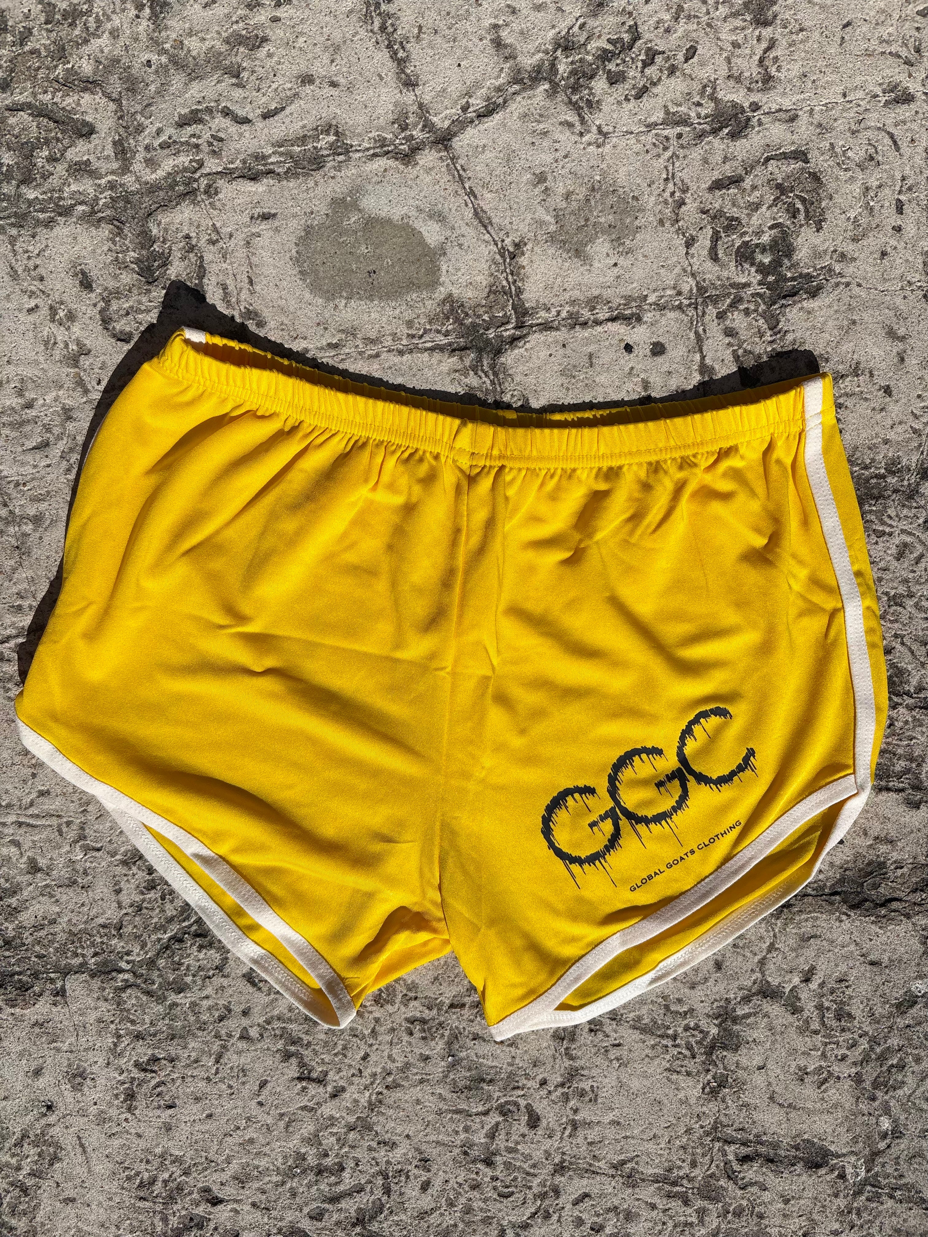 3pc BIKINI STYLE BATHING SUIT(THONG)