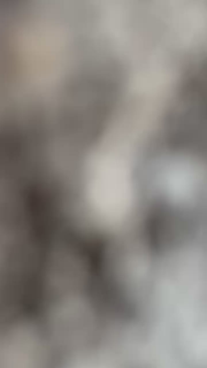 GGC SWEATSUIT “GO GLOBAL OR STAY LOCAL”