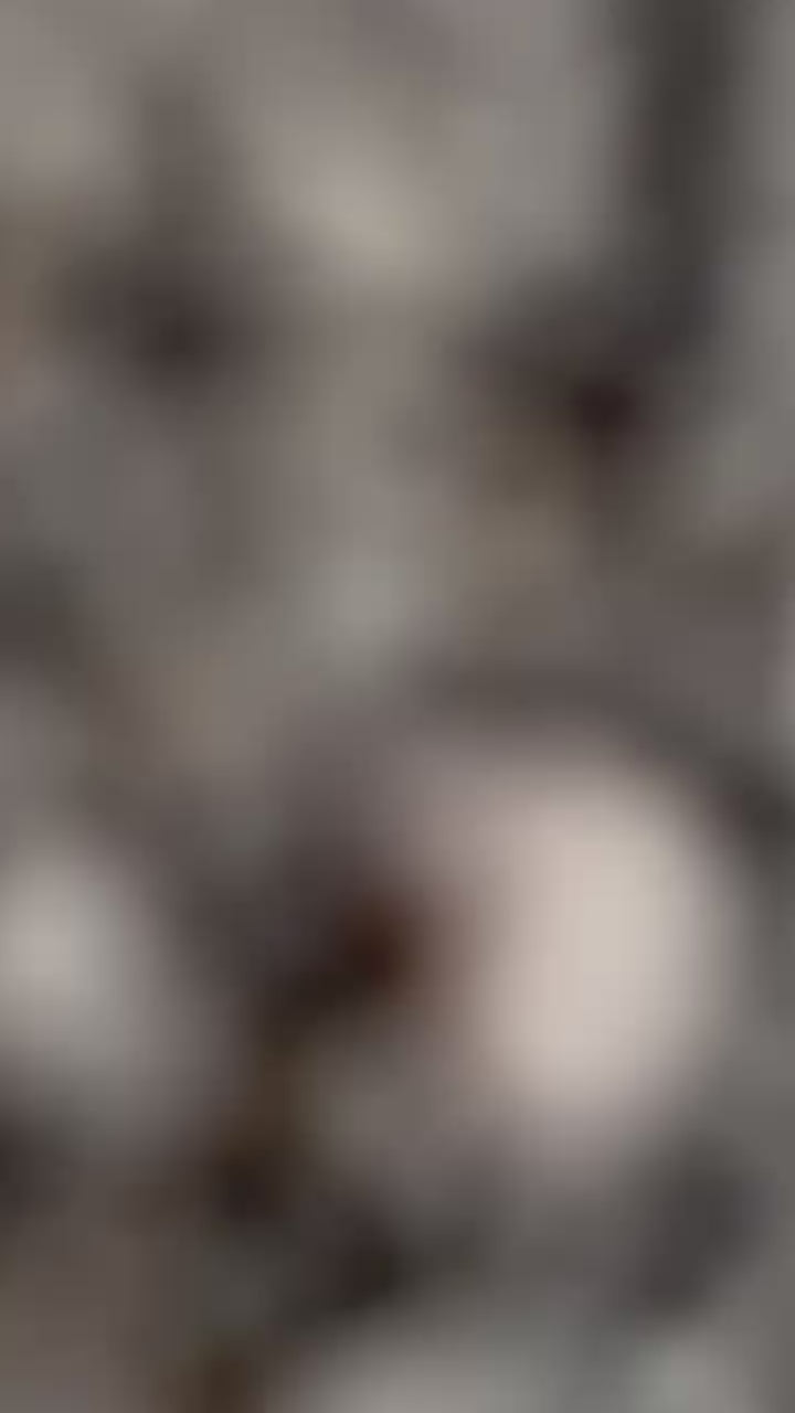 GGC SWEATSUIT “GO GLOBAL OR STAY LOCAL”